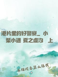 港片里的好警察